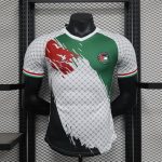 Palestine maillot foot 2024 2025