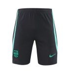 Barcelona Fußballshorts 2023 2024