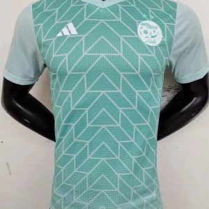 Algérie maillot 2023 2024 concept