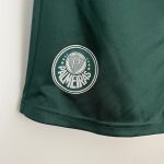 Short de Football Palmeiras 2023 2024