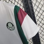 Palmeiras maillot entraînement 2023 2024