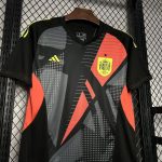 Espagne Maillot foot 2024 2025 gardien