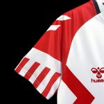 Danemark maillot 2023 2024