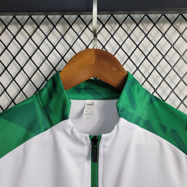 Veste / survêtement palmeiras 2023 2024